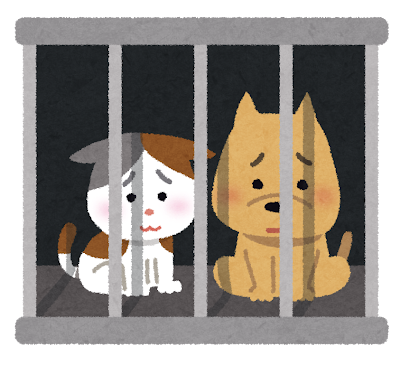 殺処分される動物